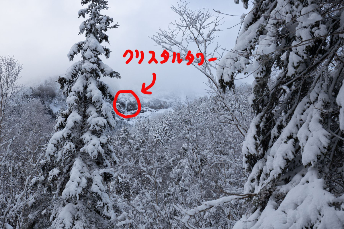 f:id:di82:20200209171032j:plain