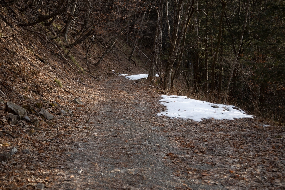 f:id:di82:20200209212114j:plain f:id:di82:20200209212114j:plain