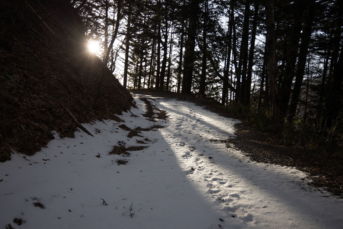 f:id:di82:20200209212145j:plain f:id:di82:20200209212145j:plain