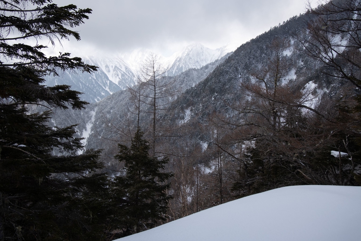 f:id:di82:20200209213149j:plain f:id:di82:20200209213149j:plain