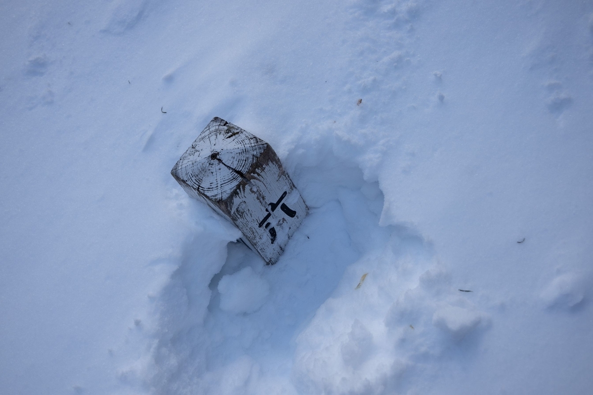 f:id:di82:20200209213411j:plain f:id:di82:20200209213411j:plain