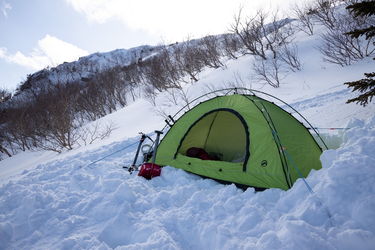 f:id:di82:20200209213853j:plain f:id:di82:20200209213853j:plain