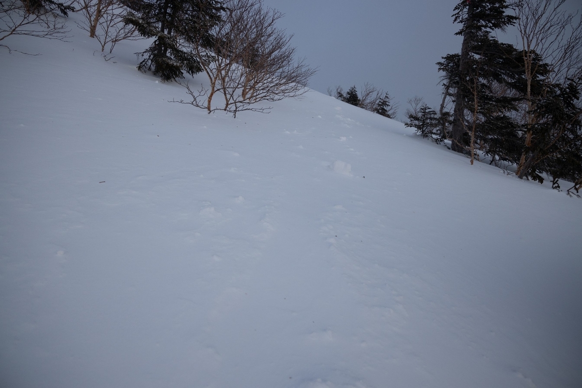 f:id:di82:20200209214713j:plain f:id:di82:20200209214713j:plain