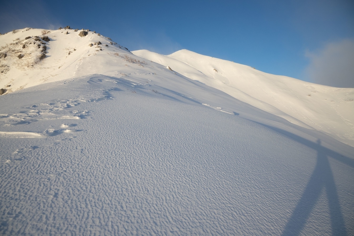 f:id:di82:20200209215631j:plain f:id:di82:20200209215631j:plain