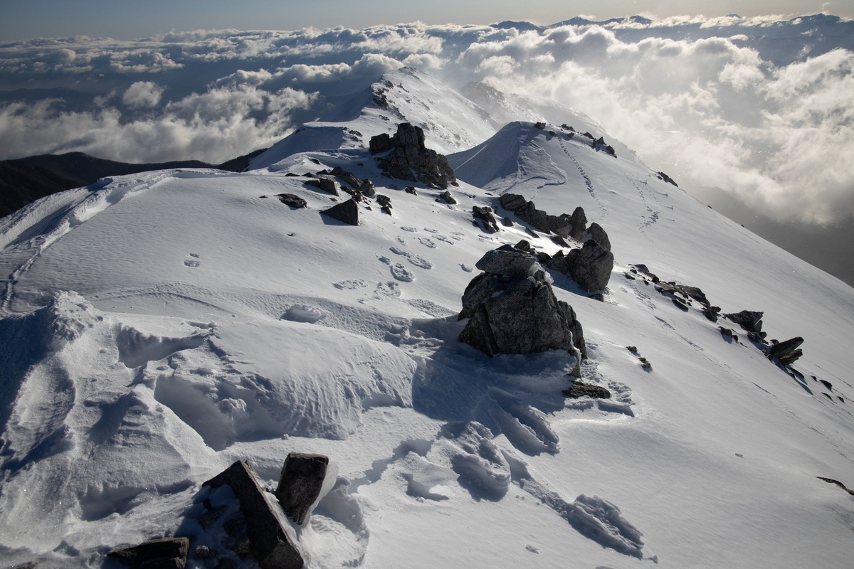 f:id:di82:20200210204031j:plain f:id:di82:20200210204031j:plain