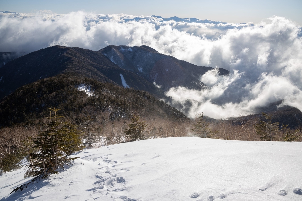 f:id:di82:20200210204536j:plain f:id:di82:20200210204536j:plain