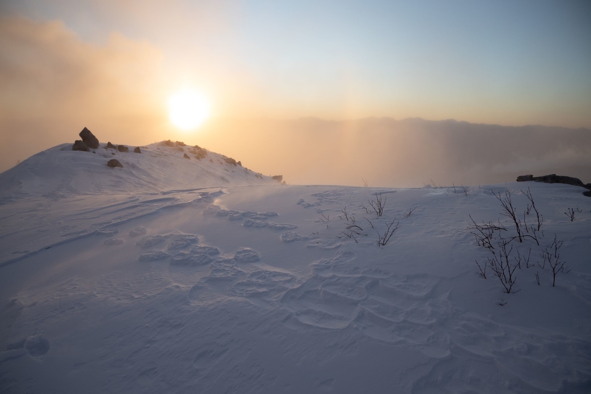 f:id:di82:20200214165106j:plain f:id:di82:20200214165106j:plain