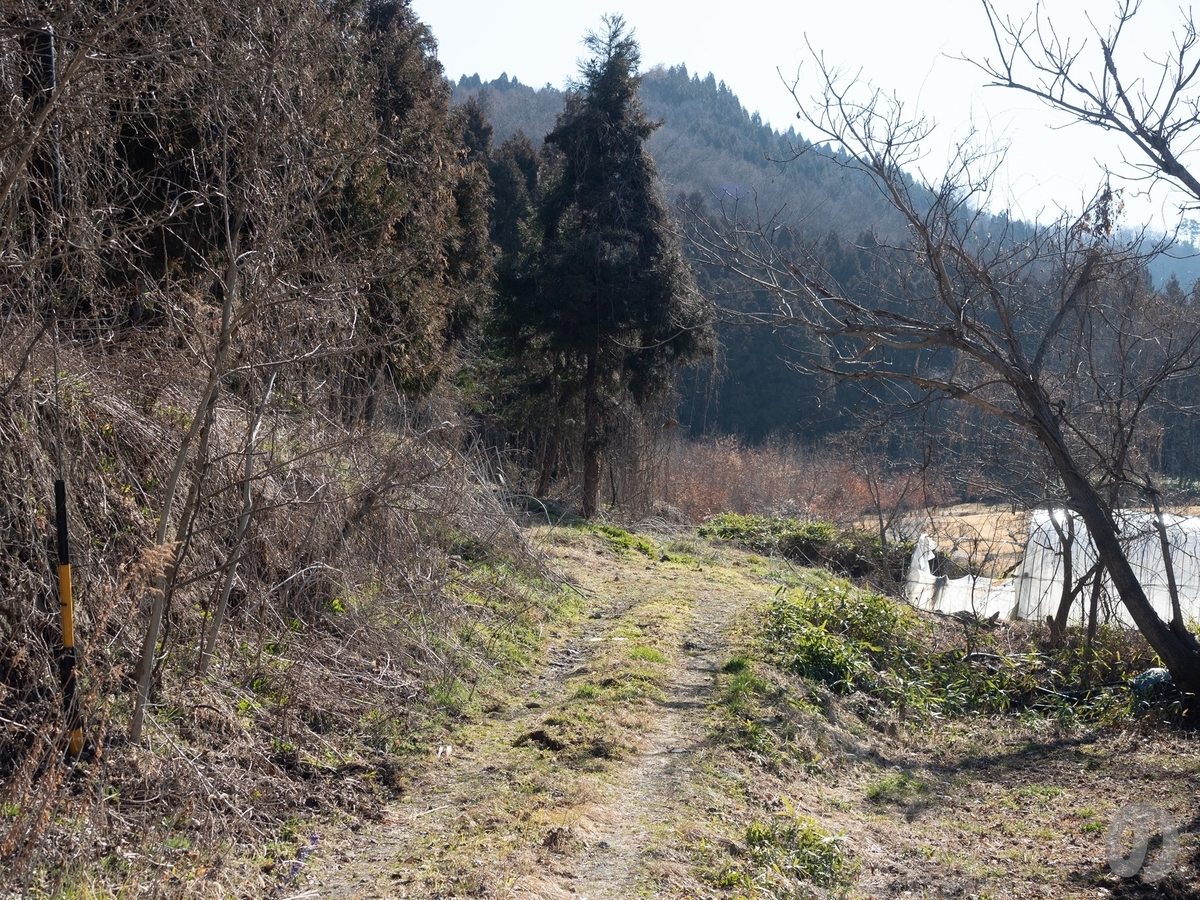 f:id:di82:20200503130244j:plain f:id:di82:20200503130244j:plain