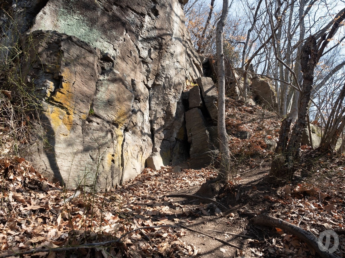 f:id:di82:20200503140357j:plain f:id:di82:20200503140357j:plain