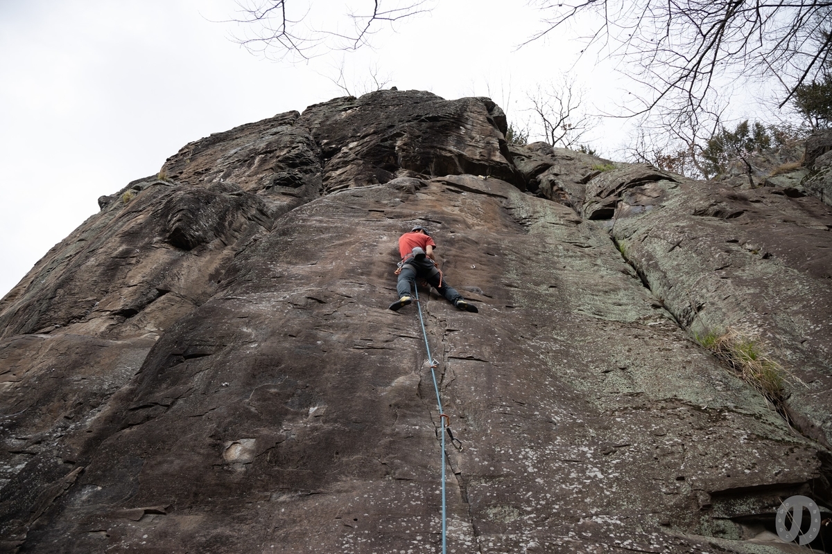 f:id:di82:20200503142300j:plain f:id:di82:20200503142300j:plain