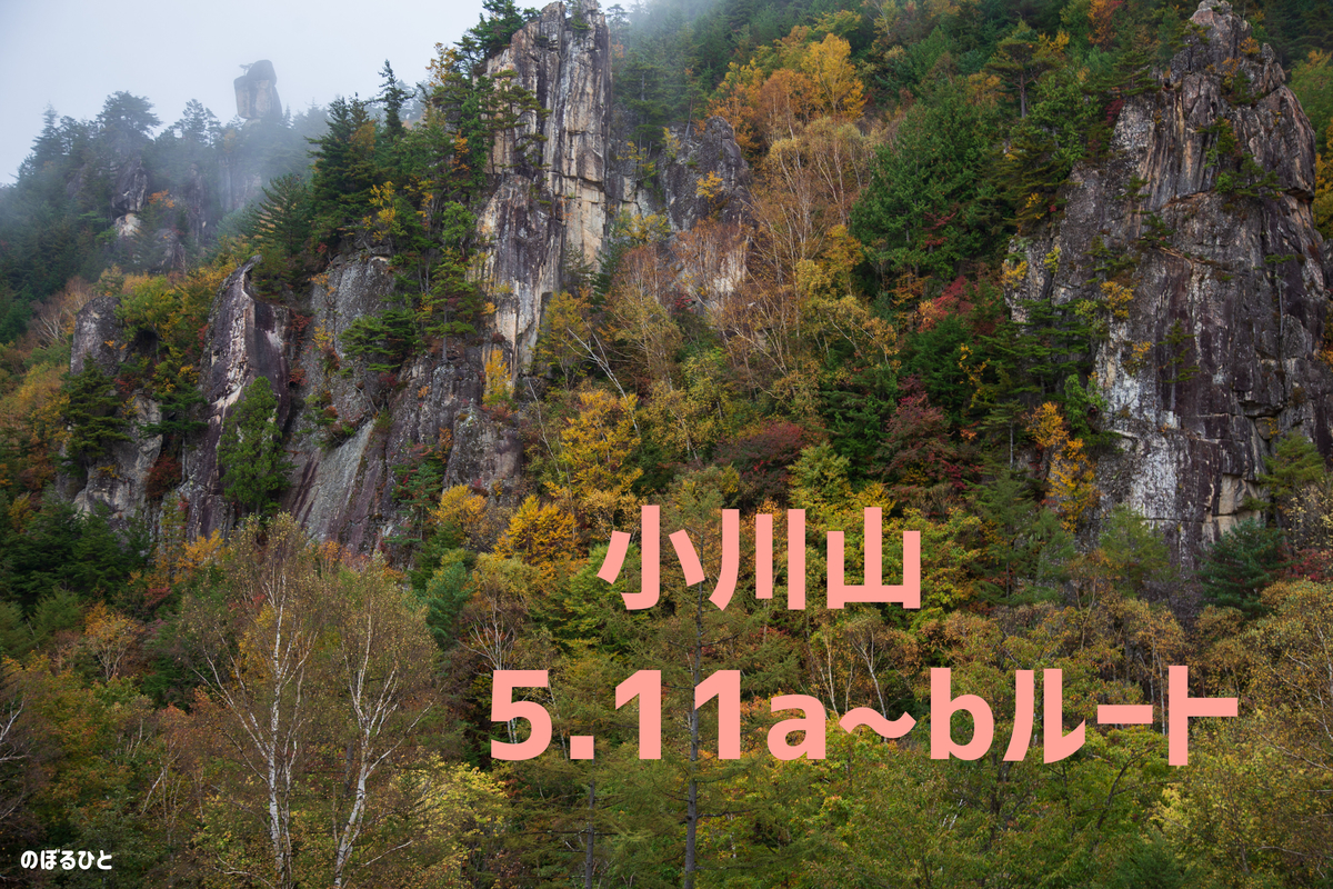 f:id:di82:20200614220733j:plain