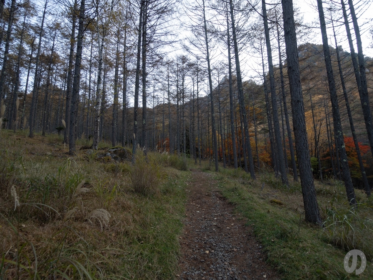 f:id:di82:20201104180008j:plain f:id:di82:20201104180008j:plain