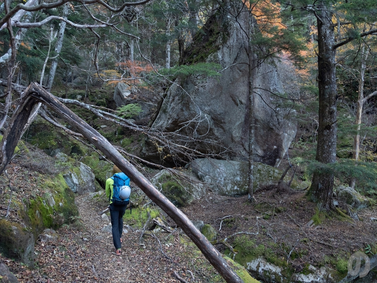 f:id:di82:20201104180036j:plain f:id:di82:20201104180036j:plain