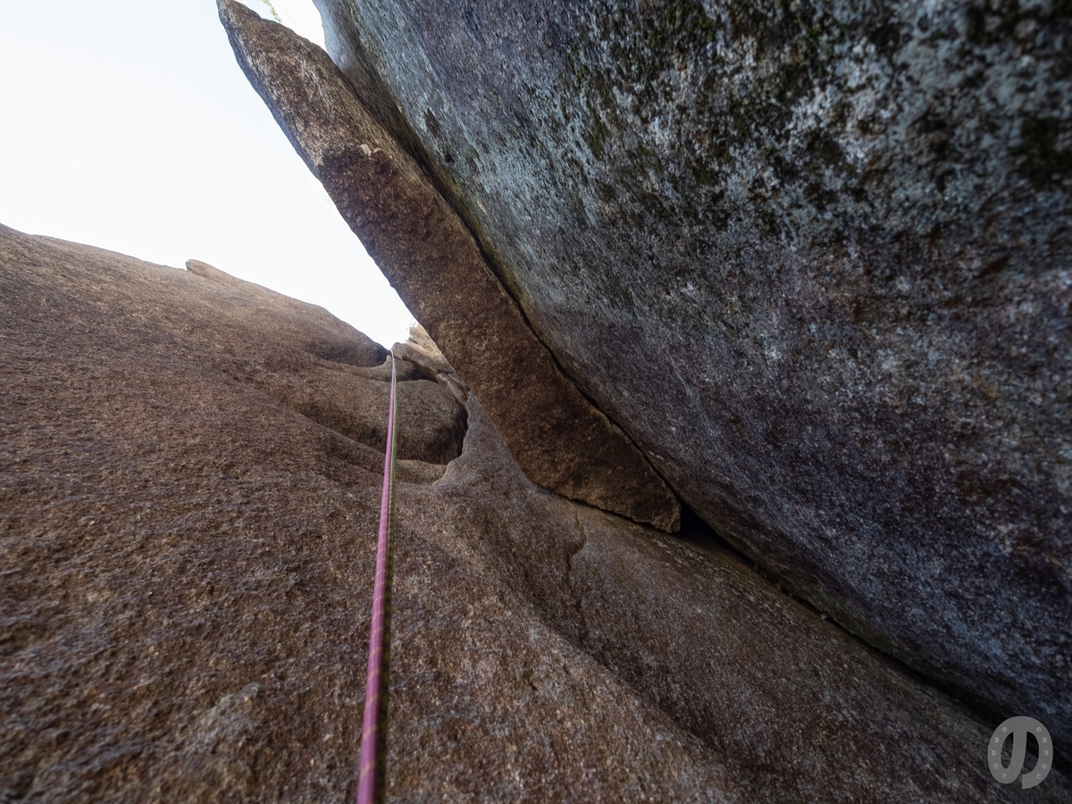 f:id:di82:20201104181933j:plain f:id:di82:20201104181933j:plain