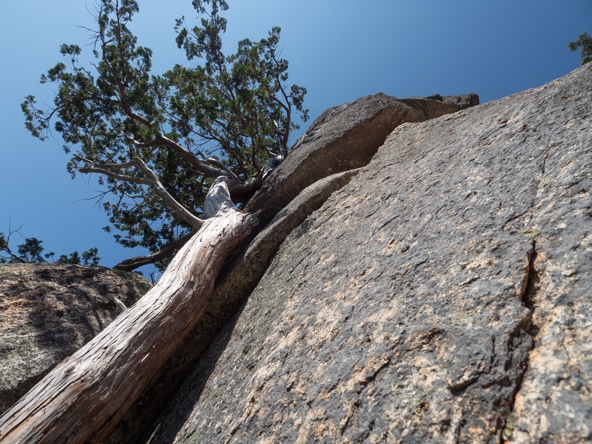 f:id:di82:20201104182230j:plain f:id:di82:20201104182230j:plain