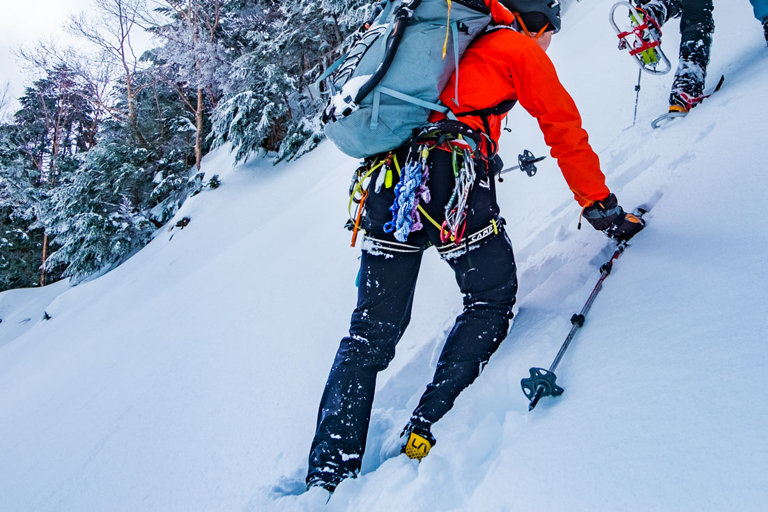 f:id:di82:20201109191615j:plain f:id:di82:20201109191615j:plain