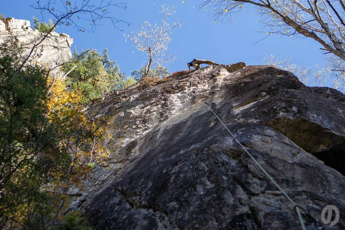 f:id:di82:20201109192915j:plain f:id:di82:20201109192915j:plain