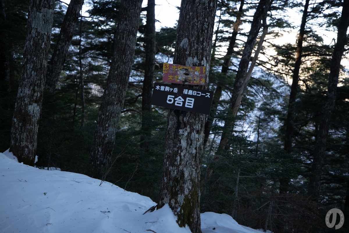 中央アルプス 冬の麦草岳 のぼるひと 中央アルプス 冬の麦草岳 のぼるひと