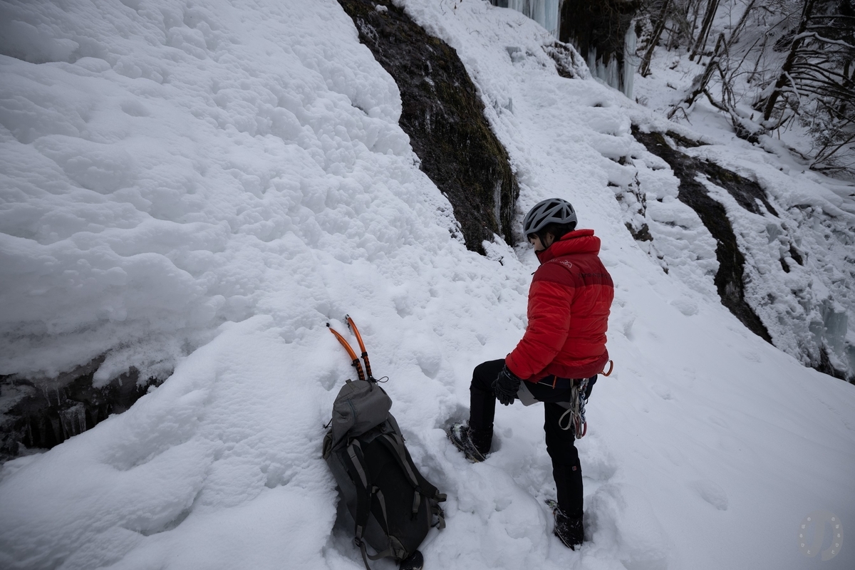 f:id:di82:20210202122833j:plain