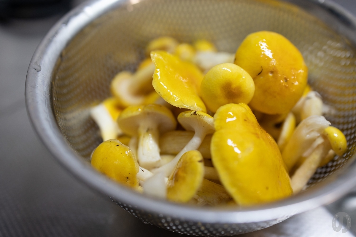 f:id:di82:20211215204505j:plain