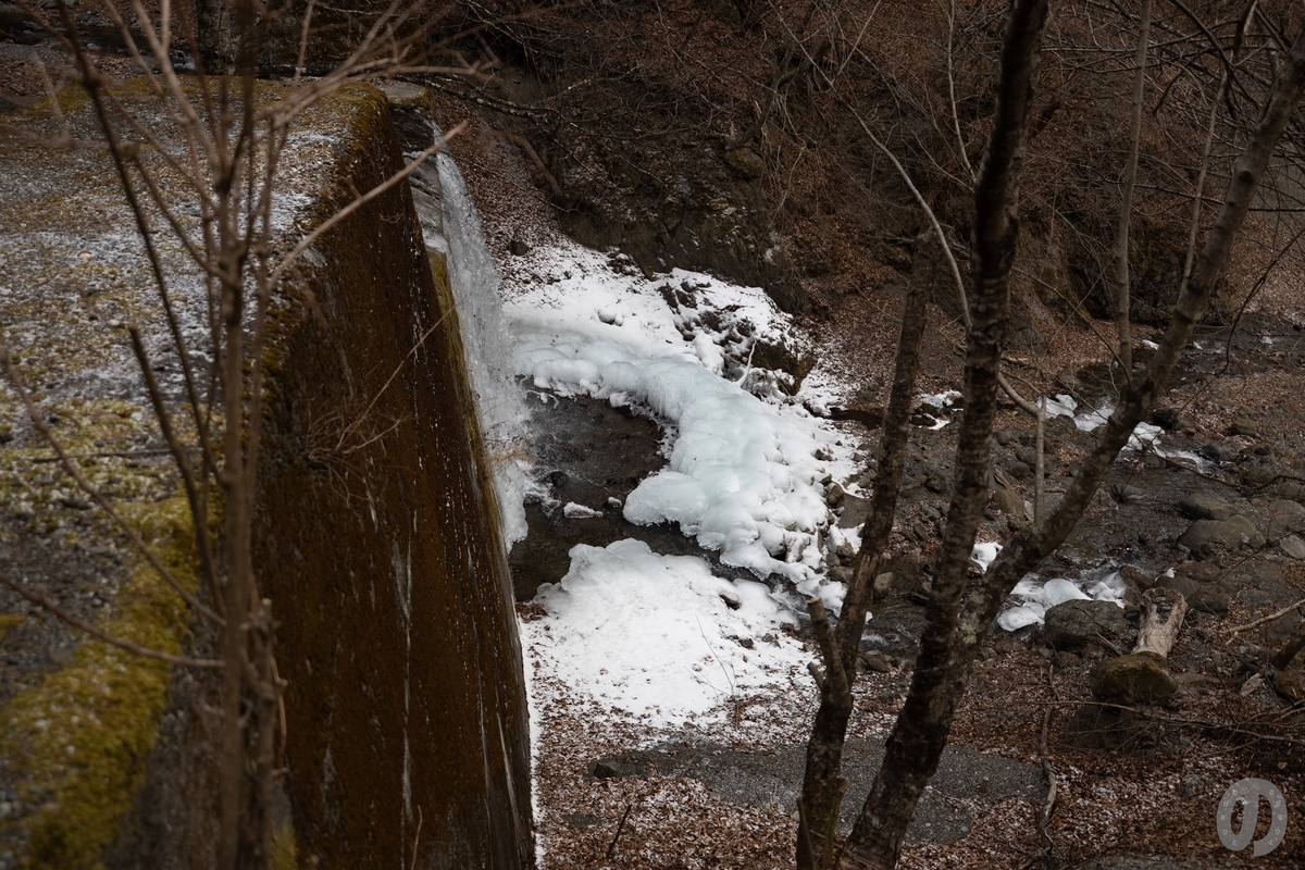 f:id:di82:20220115203649j:plain