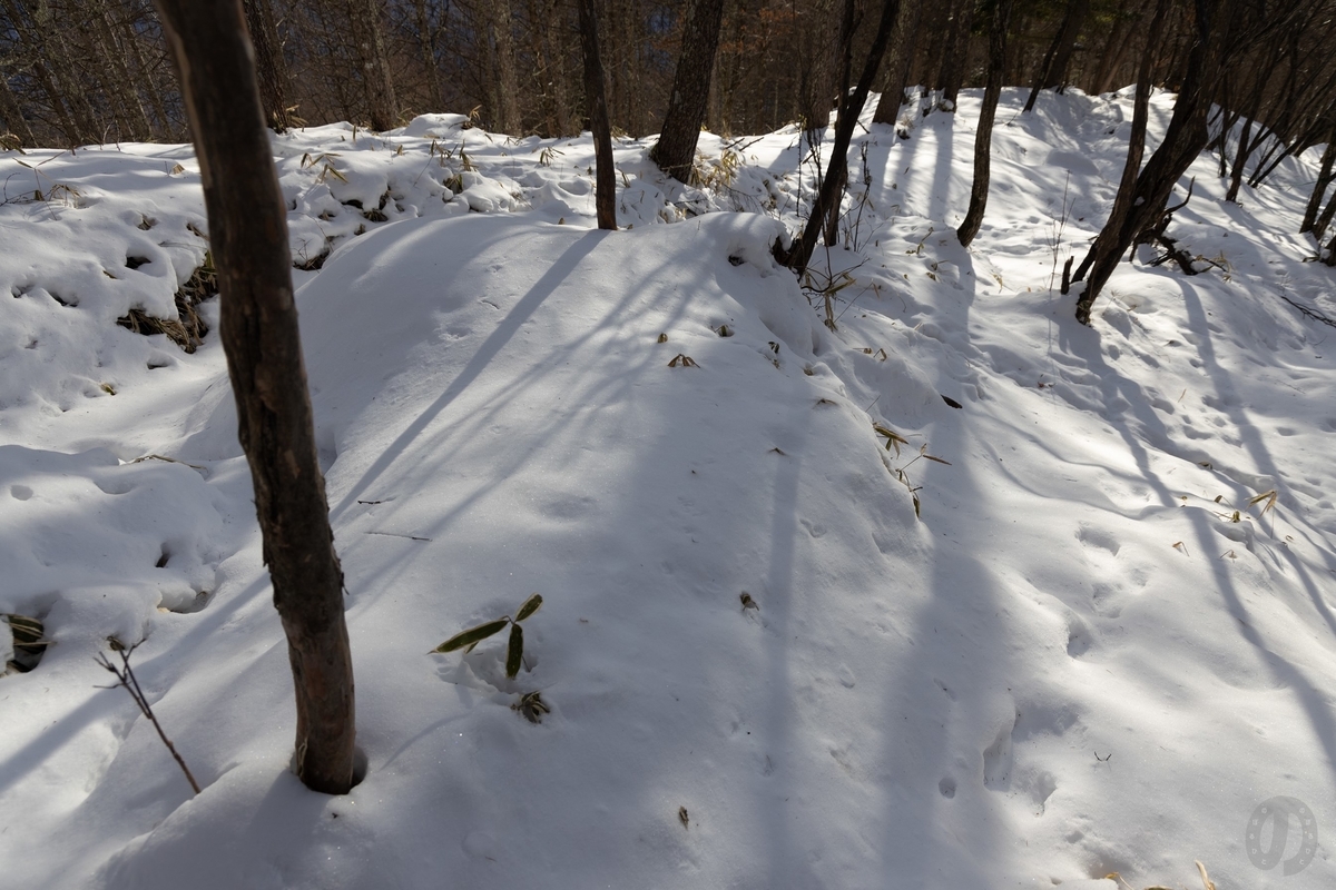 f:id:di82:20220116141908j:plain