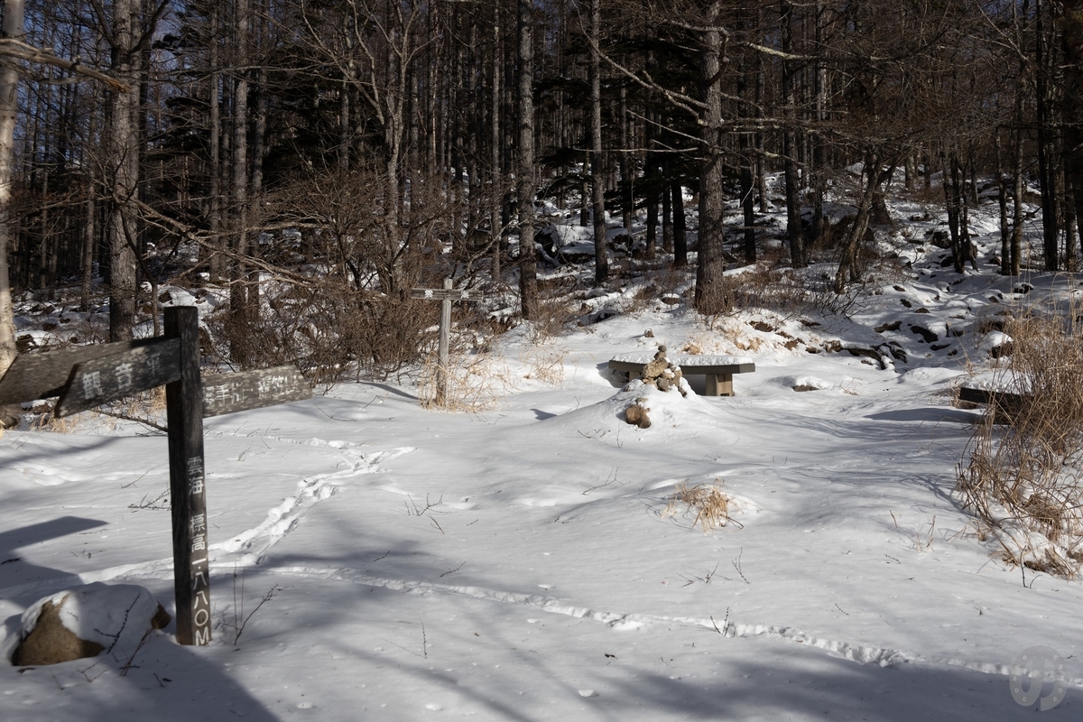 f:id:di82:20220116141934j:plain