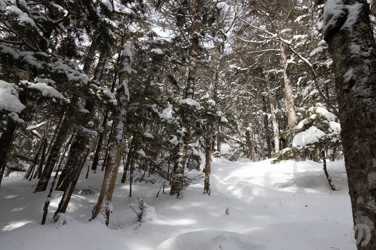 f:id:di82:20220116143048j:plain