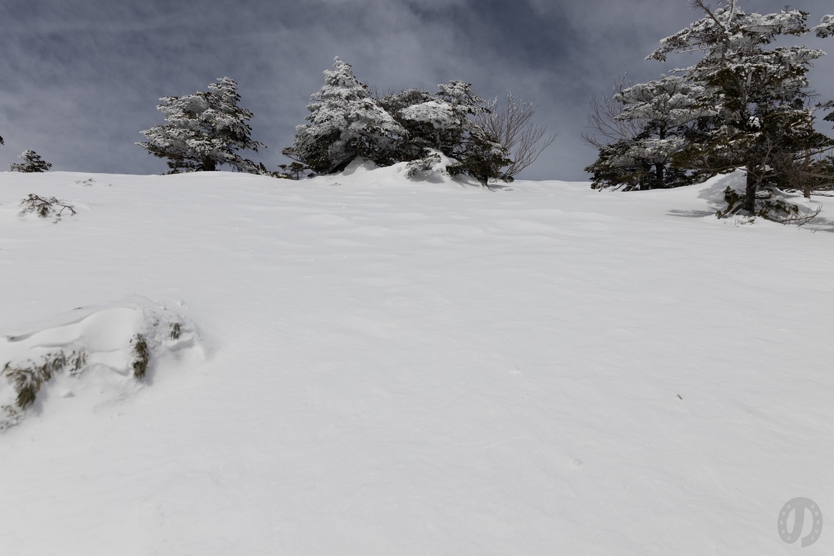 f:id:di82:20220116144054j:plain