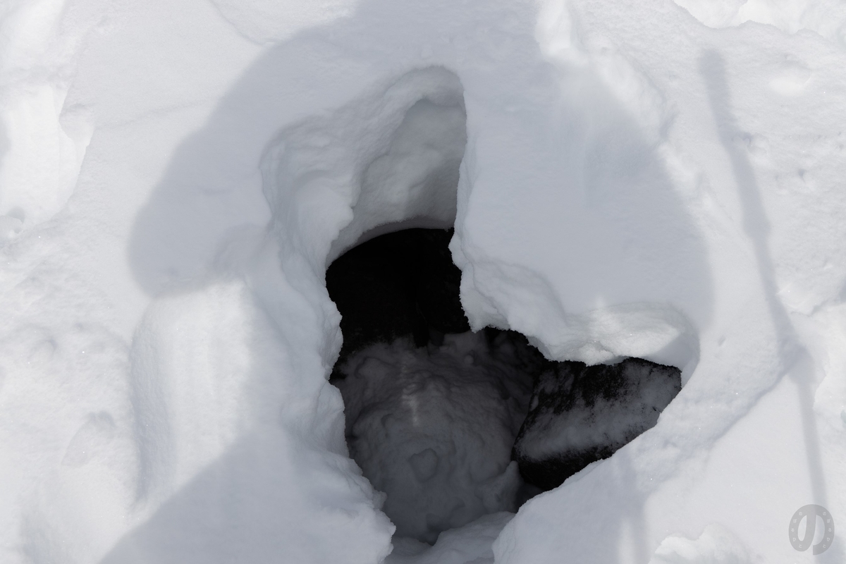 f:id:di82:20220116144232j:plain