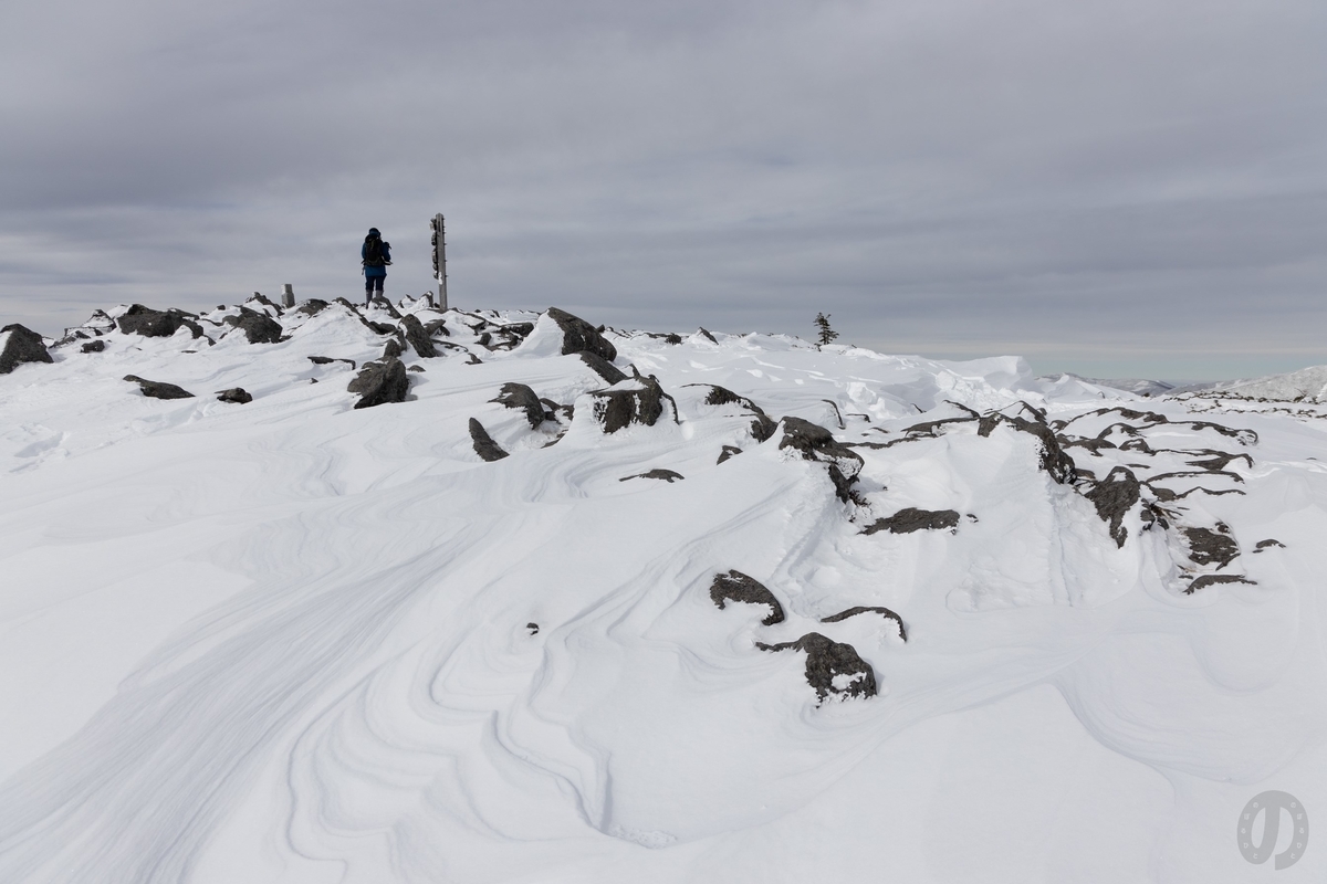 f:id:di82:20220116145052j:plain