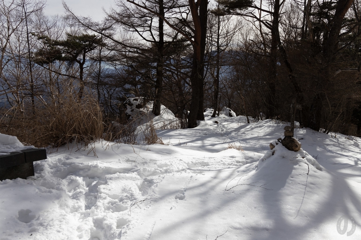 f:id:di82:20220116150124j:plain