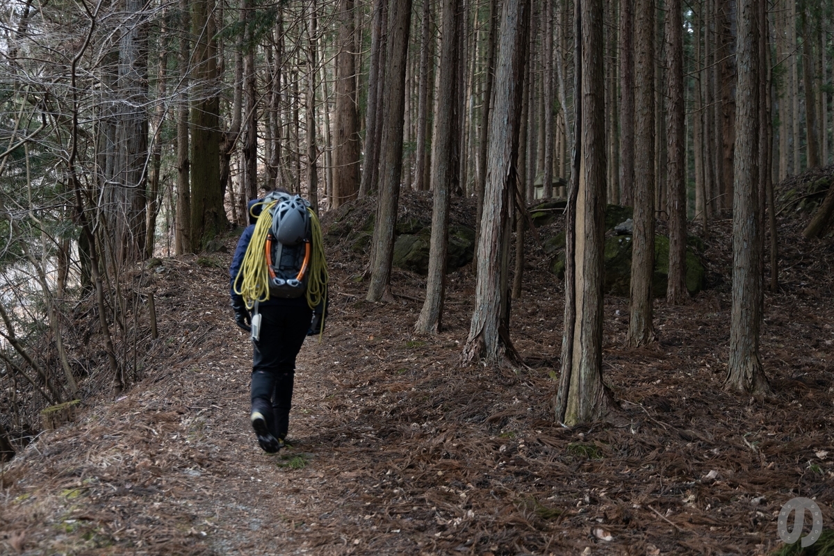 f:id:di82:20220121081818j:plain