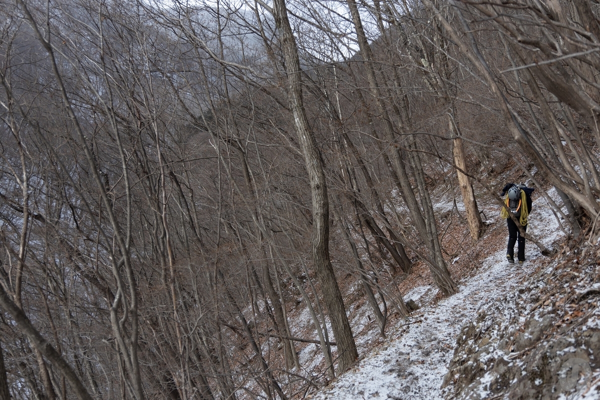 f:id:di82:20220121082736j:plain