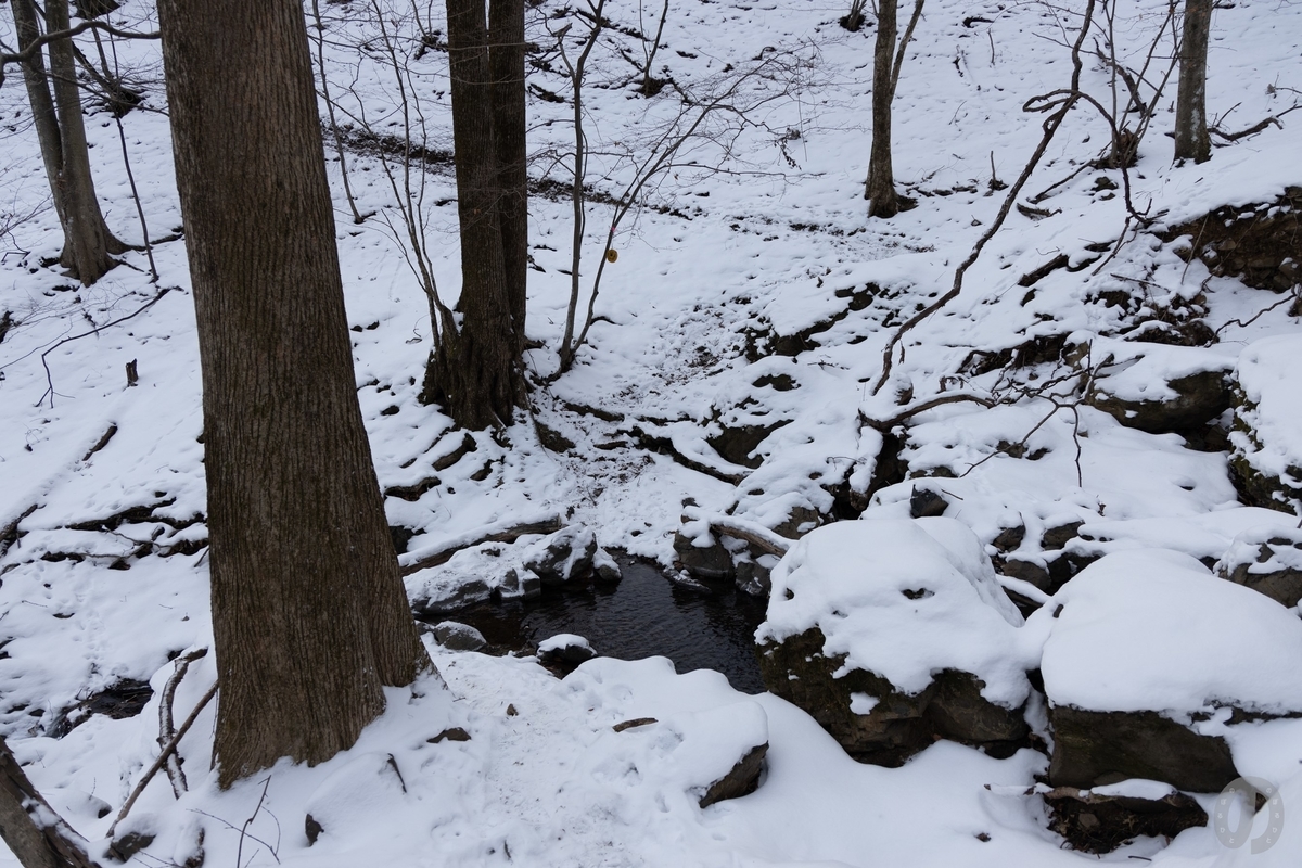 f:id:di82:20220121083028j:plain