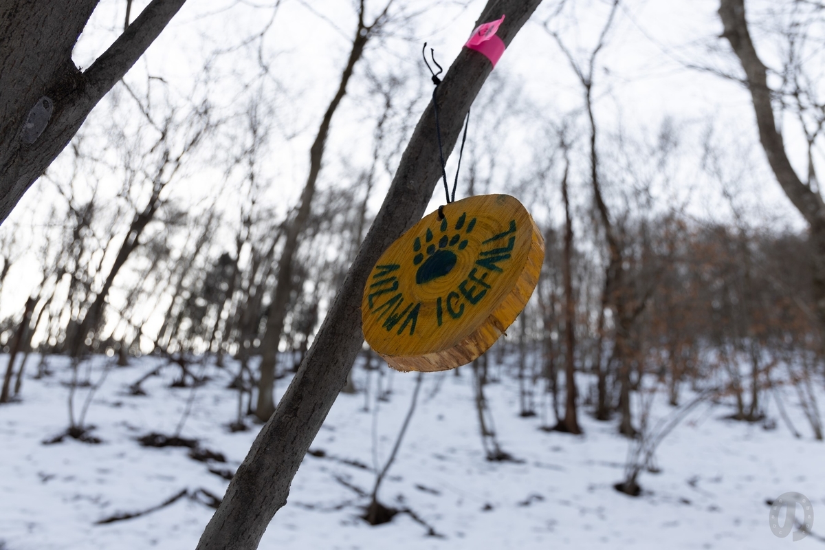 f:id:di82:20220121083307j:plain