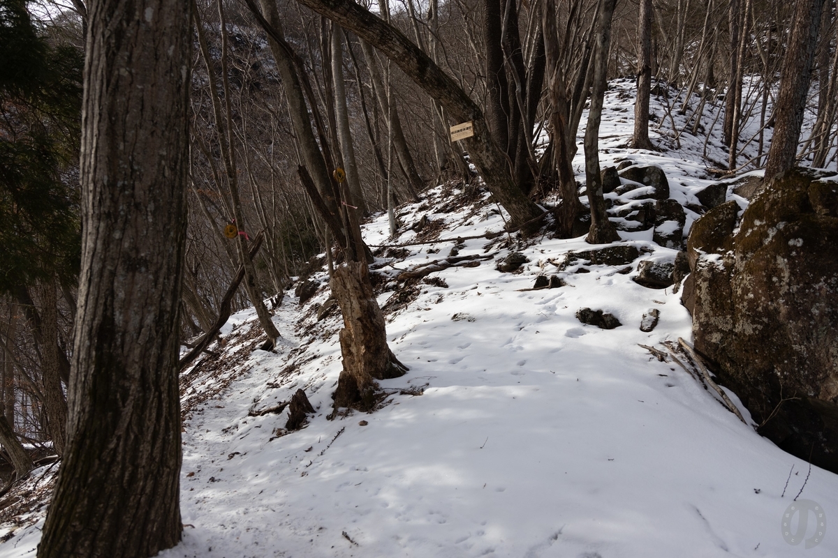 f:id:di82:20220121083448j:plain