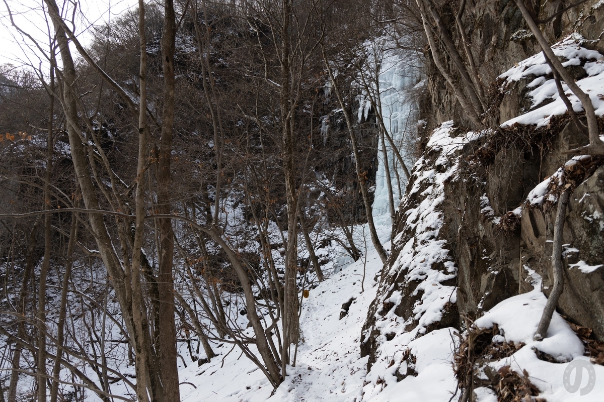 f:id:di82:20220121083712j:plain