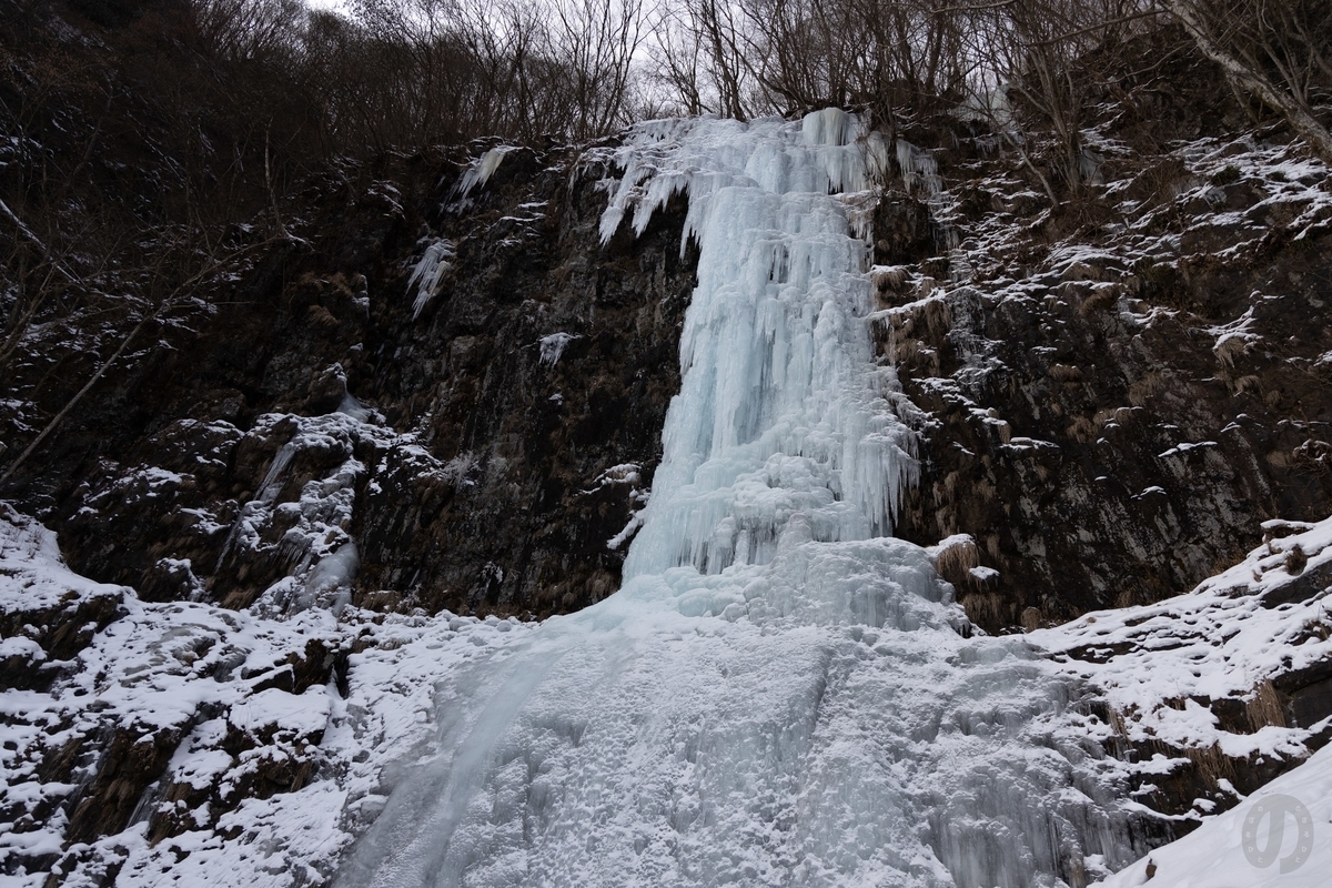 f:id:di82:20220121084335j:plain