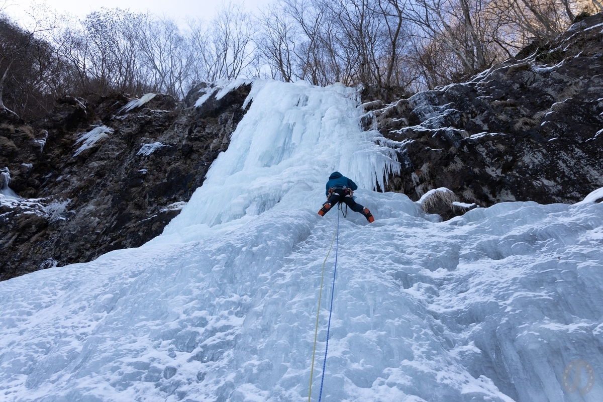 f:id:di82:20220121084350j:plain