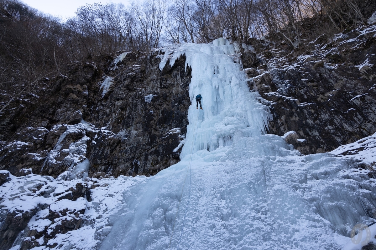 f:id:di82:20220121084405j:plain