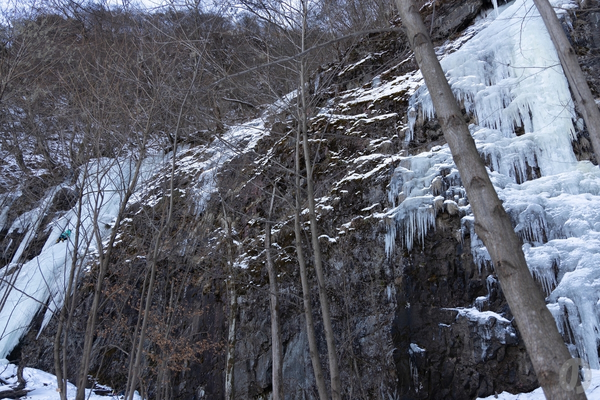 f:id:di82:20220121090238j:plain