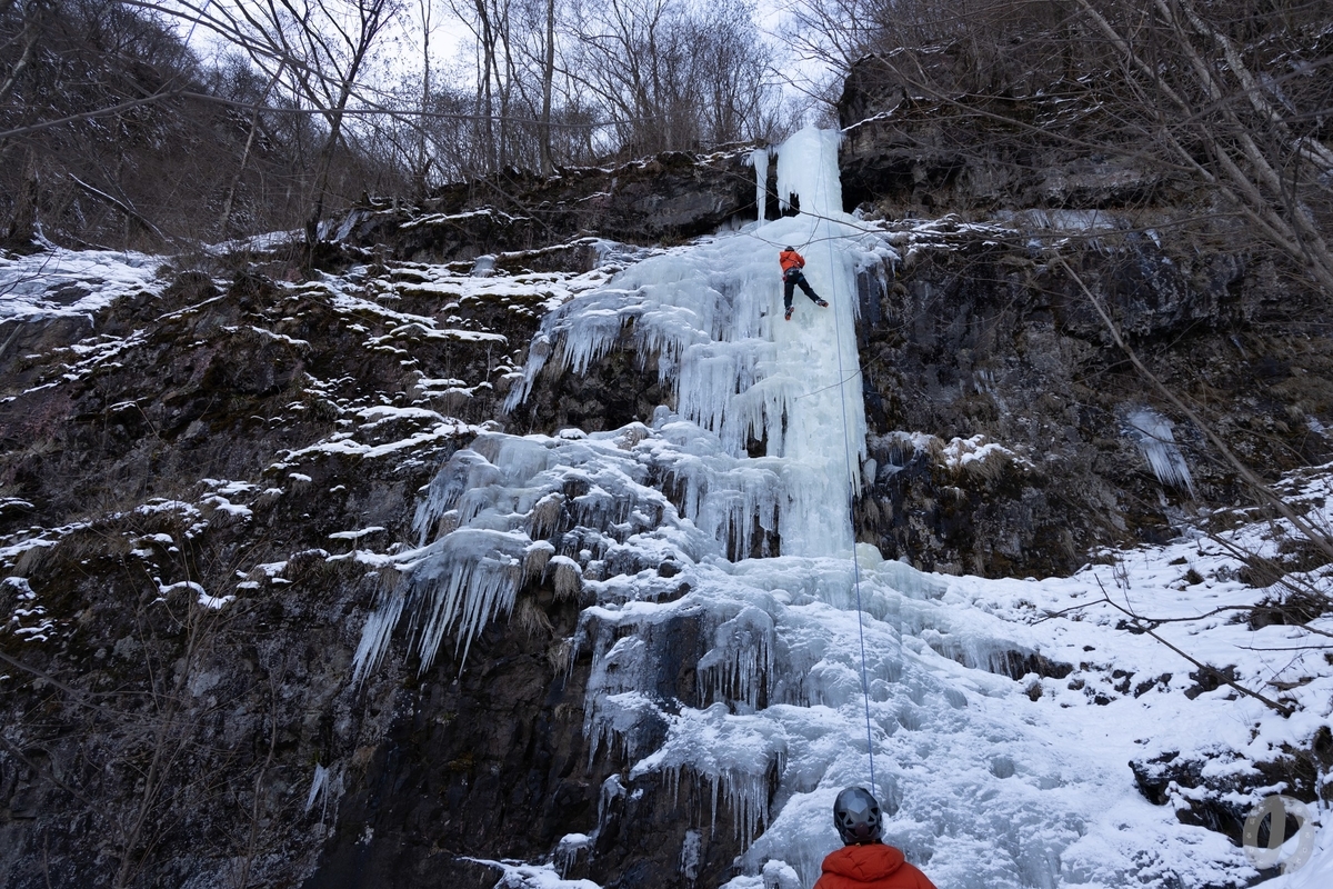 f:id:di82:20220121090449j:plain