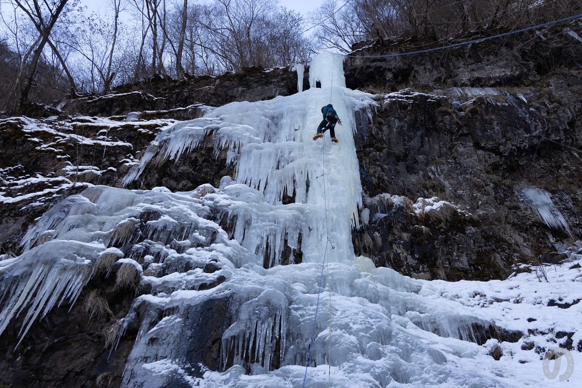 f:id:di82:20220121090805j:plain