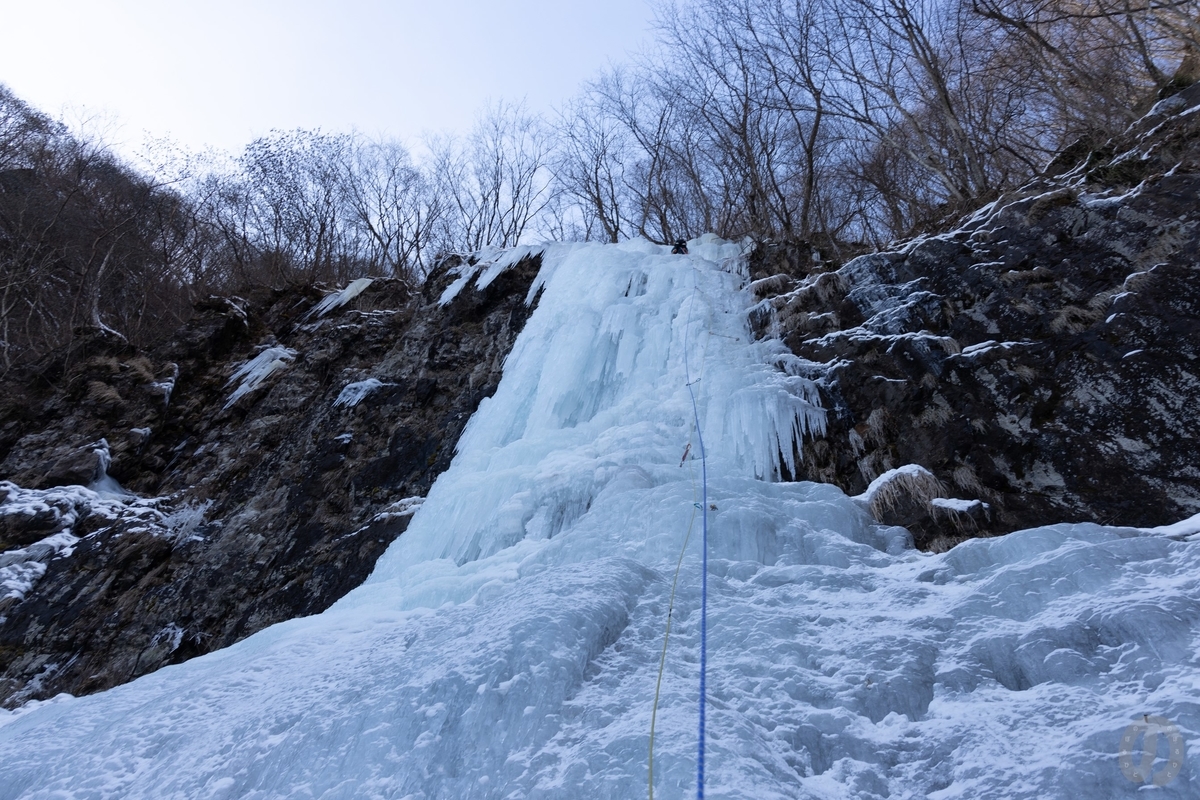 f:id:di82:20220121092603j:plain