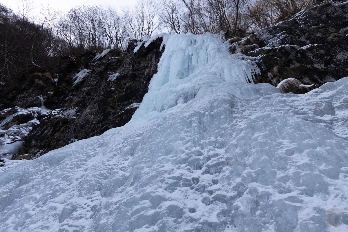 f:id:di82:20220121093153j:plain