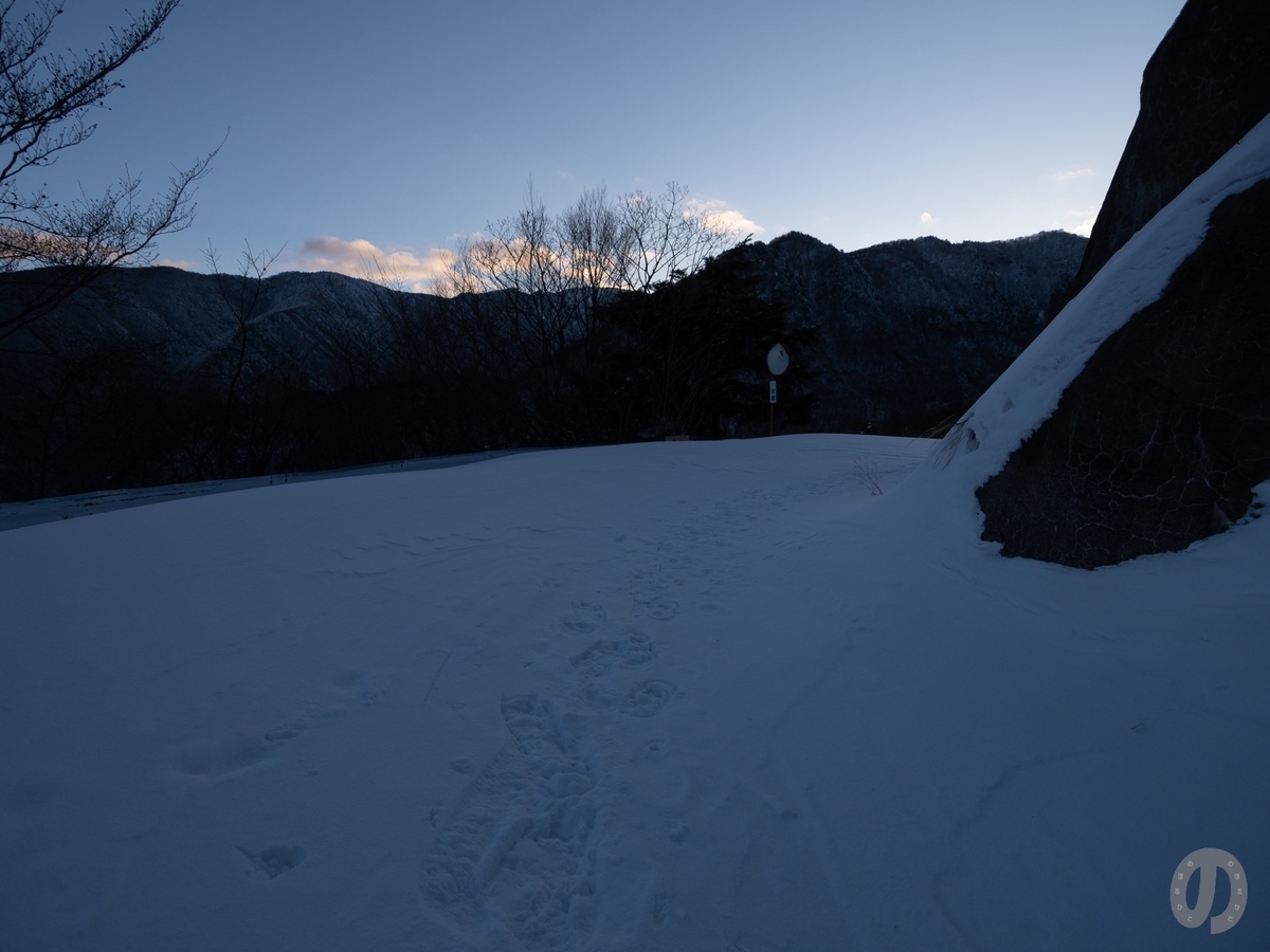 f:id:di82:20220121130206j:plain