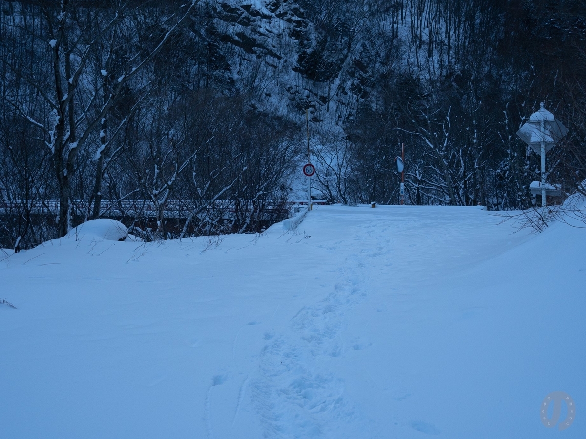 f:id:di82:20220121130429j:plain