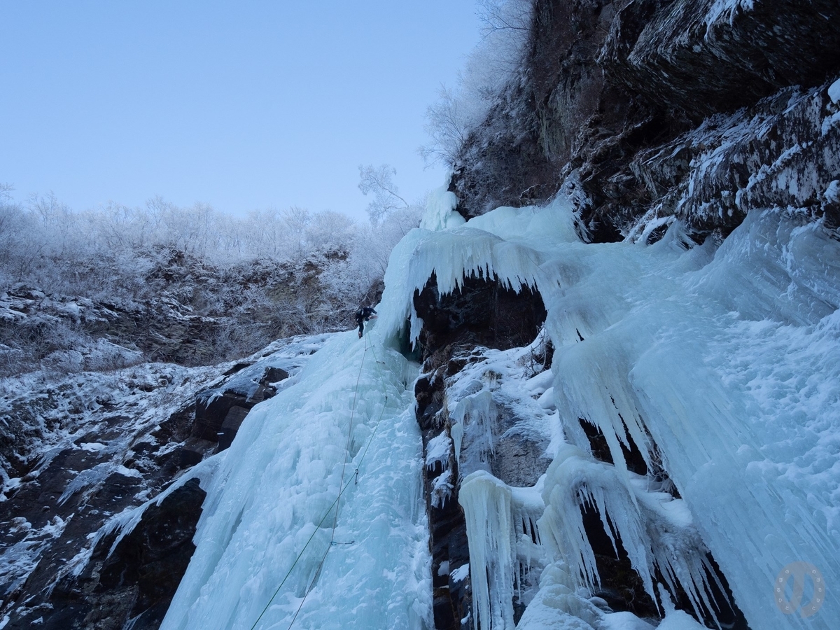 f:id:di82:20220121132140j:plain