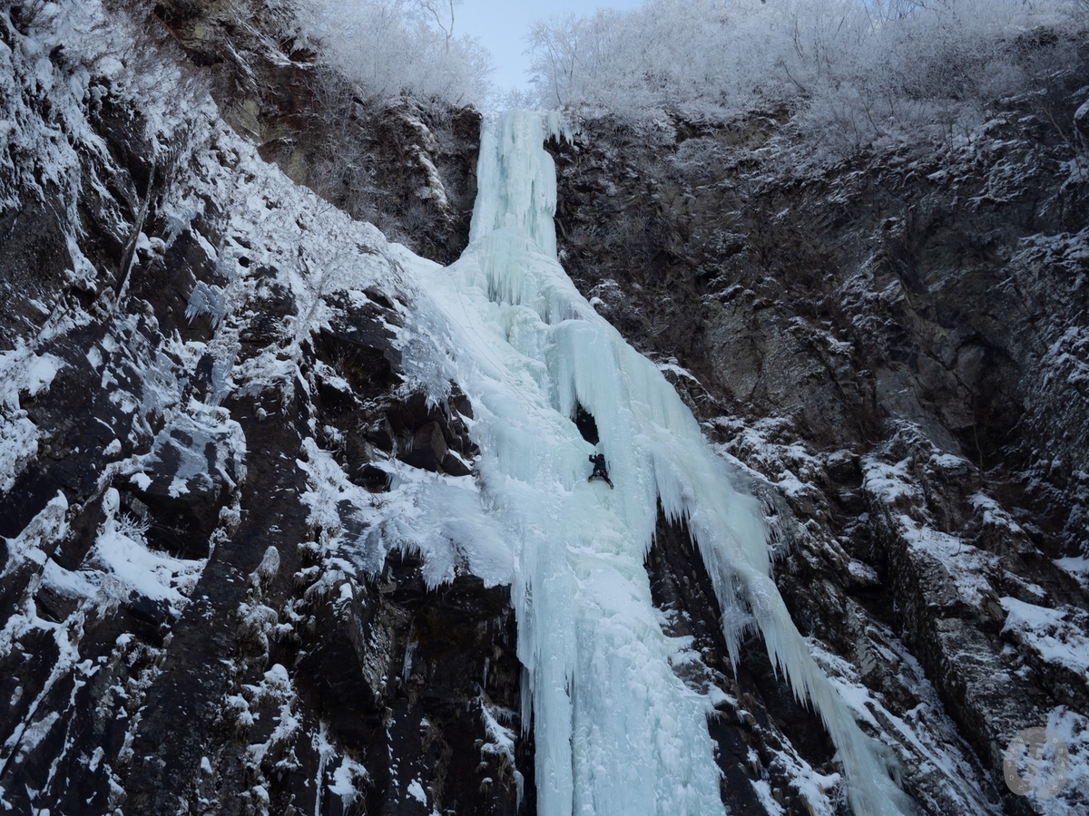 f:id:di82:20220121132208j:plain